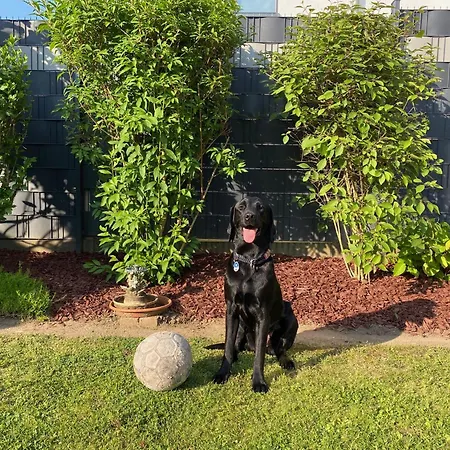 Barrierefreies Mit Garten Bei Koeln * Hürth
