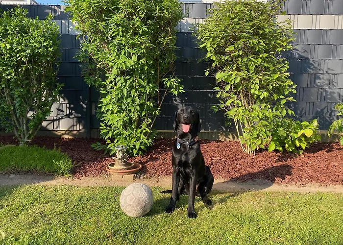 Barrierefreies Mit Garten Bei Koeln * Hürth